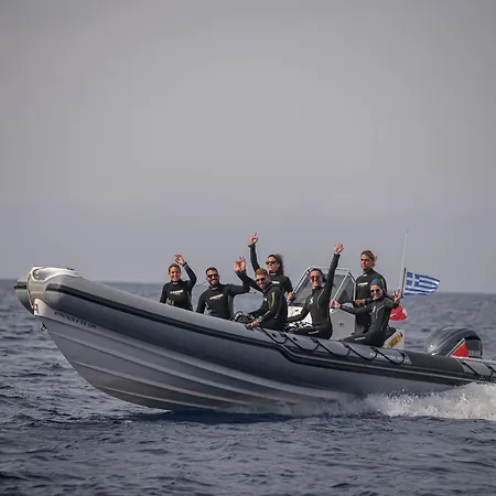 Porta Harenae Residencia