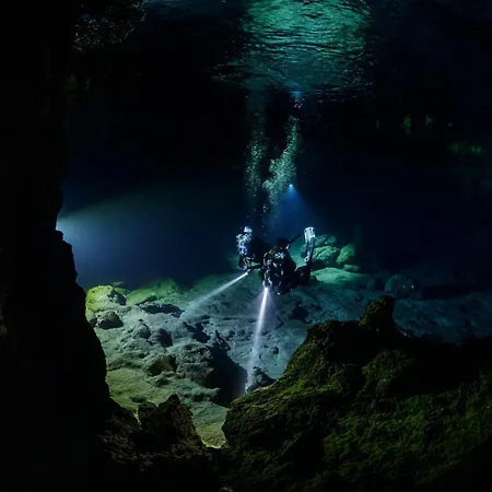 Porta Harenae Residencia